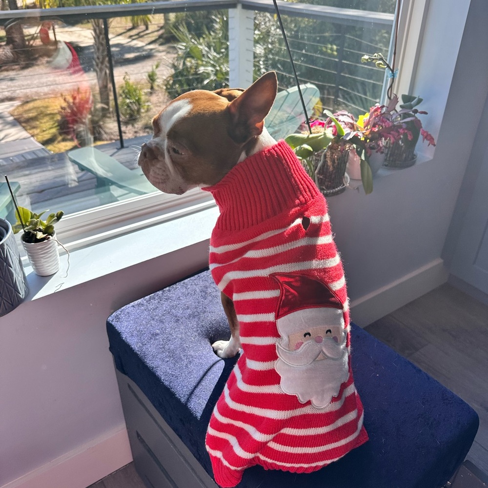 Doggie Santa sweater, size large